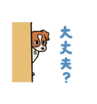 クッキーの日常スタンプ（個別スタンプ：4）