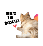 めいると愉快な仲間たち♡（個別スタンプ：19）