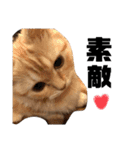 めいると愉快な仲間たち♡（個別スタンプ：28）