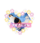 猫のフランはくにゃんdays 2（個別スタンプ：1）