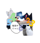猫のフランはくにゃんdays 2（個別スタンプ：11）