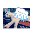 猫のフランはくにゃんdays 2（個別スタンプ：12）