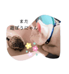 猫のフランはくにゃんdays 2（個別スタンプ：23）