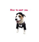 I love Jack Russell Terrier - English-（個別スタンプ：4）