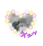 ふんわりインコSTAMP（個別スタンプ：6）