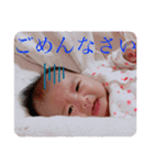 うちのまぁちゃん（個別スタンプ：8）