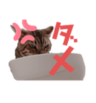 みやした シンバ（個別スタンプ：2）