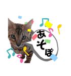 みやした シンバ（個別スタンプ：8）