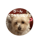 ユイちゃんの日常語2（個別スタンプ：6）
