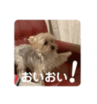 ユイちゃんの日常語2（個別スタンプ：9）