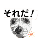 ユイちゃんの日常語2（個別スタンプ：20）