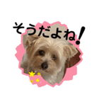 ユイちゃんの日常語2（個別スタンプ：21）