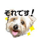 ユイちゃんの日常語2（個別スタンプ：24）