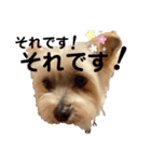 ユイちゃんの日常語2（個別スタンプ：25）
