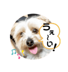 ユイちゃんの日常語2（個別スタンプ：27）