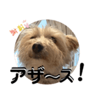 ユイちゃんの日常語2（個別スタンプ：28）