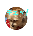 ユイちゃんの日常語2（個別スタンプ：30）