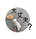 ユイちゃんの日常語2（個別スタンプ：34）