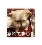 ユイちゃんの日常語2（個別スタンプ：35）