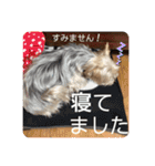 ユイちゃんの日常語2（個別スタンプ：36）