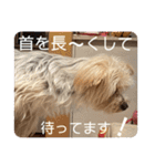 ユイちゃんの日常語2（個別スタンプ：37）