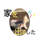 ユイちゃんの日常語2（個別スタンプ：38）