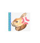 うさぎ6才 関西弁（個別スタンプ：6）