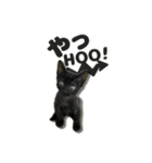 黒猫ルナ meooow Vol.1（個別スタンプ：1）