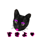 黒猫ルナ meooow Vol.1（個別スタンプ：5）