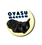 黒猫ルナ meooow Vol.1（個別スタンプ：6）