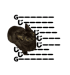 黒猫ルナ meooow Vol.1（個別スタンプ：8）