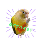 ジルさんと愉快な仲間たち2（個別スタンプ：2）