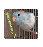 ジルさんと愉快な仲間たち2（個別スタンプ：3）