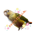 ジルさんと愉快な仲間たち2（個別スタンプ：5）