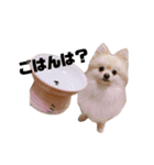 ちろらびスタンプ（個別スタンプ：4）