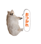 ちろらびスタンプ（個別スタンプ：14）