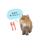 なんてかわいいやつらなんだ！（個別スタンプ：4）