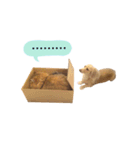 なんてかわいいやつらなんだ！（個別スタンプ：9）
