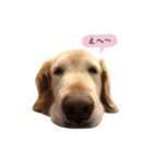 なんてかわいいやつらなんだ！（個別スタンプ：12）