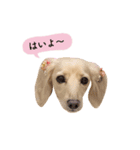 なんてかわいいやつらなんだ！（個別スタンプ：21）