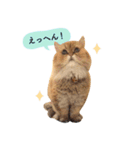 なんてかわいいやつらなんだ！（個別スタンプ：24）