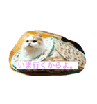 ゆるっとひなたちゃん（個別スタンプ：1）