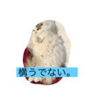 ゆるっとひなたちゃん（個別スタンプ：2）