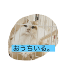 ゆるっとひなたちゃん（個別スタンプ：3）