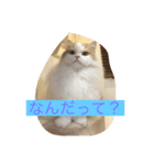 ゆるっとひなたちゃん（個別スタンプ：4）