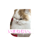 ゆるっとひなたちゃん（個別スタンプ：7）