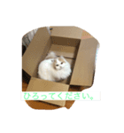 ゆるっとひなたちゃん（個別スタンプ：8）