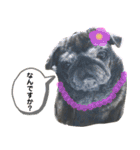 パグのおハナちゃんスタンプ（個別スタンプ：9）