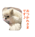らぶりー レイちゃん（個別スタンプ：4）
