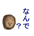 らぶりー レイちゃん（個別スタンプ：6）